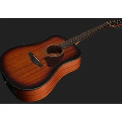Ibanez AAD54E-OMH