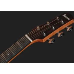 Ibanez AAD54E-OMH