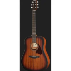Ibanez AAD54E-OMH