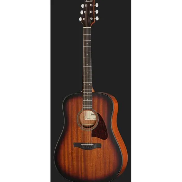 Ibanez AAD54E-OMH