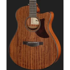 Ibanez AAM54CE-OPN