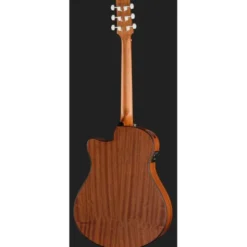 Ibanez AAM54CE-OPN