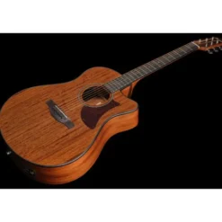 Ibanez AAM54CE-OPN
