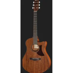 Ibanez AAM54CE-OPN