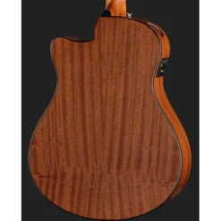 Ibanez AAM54CE-OPN