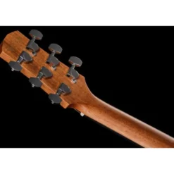 Ibanez AAM54CE-OPN