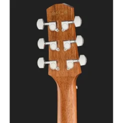 Ibanez AAM54CE-OPN