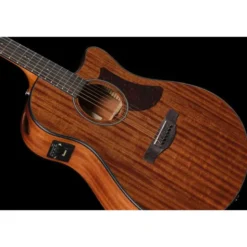 Ibanez AAM54CE-OPN