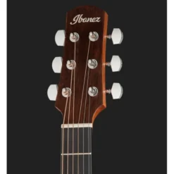 Ibanez AAM54CE-OPN