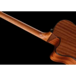 Ibanez AAM54CE-OPN