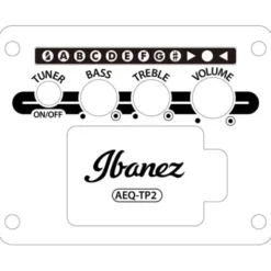 Ibanez AAM54CE-OPN