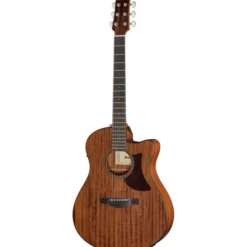 Ibanez AAM54CE-OPN
