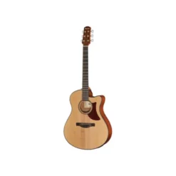 Ibanez AAM50CE-OPN B-Stock