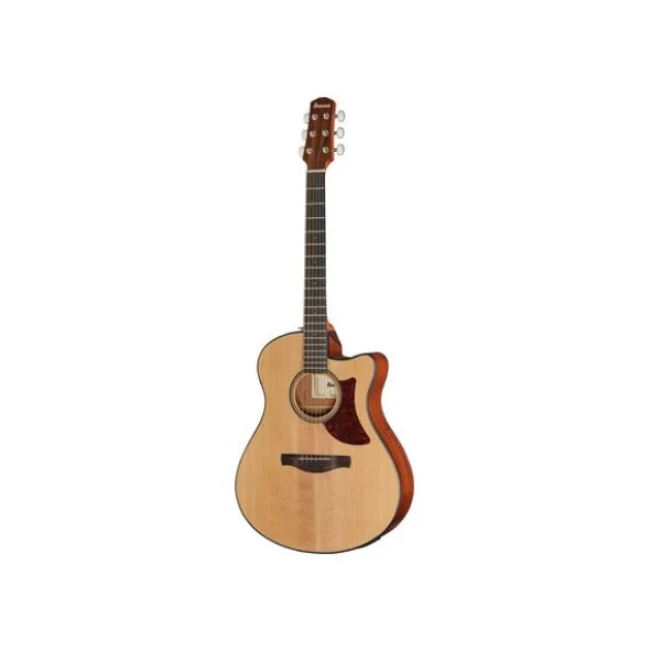 Ibanez AAM50CE-OPN B-Stock