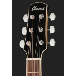 Ibanez AAM370M1CE-TPA