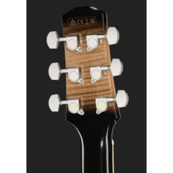 Ibanez AAM370M1CE-TPA