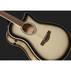 Ibanez AAM370M1CE-TPA