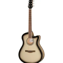 Ibanez AAM370M1CE-TPA