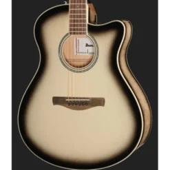 Ibanez AAM370M1CE-TPA