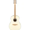 Ibanez AAM370M2E-AIB