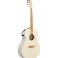 Ibanez AAM370M2E-AIB
