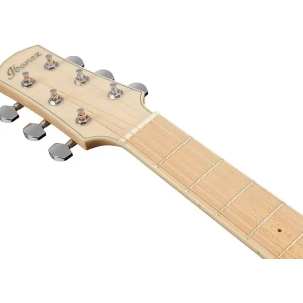 Ibanez AAM370M2E-AIB