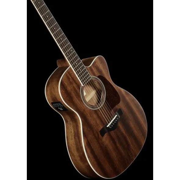 Ibanez AC340CE-OPN Artwood