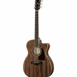 Ibanez AC340CE-OPN Artwood