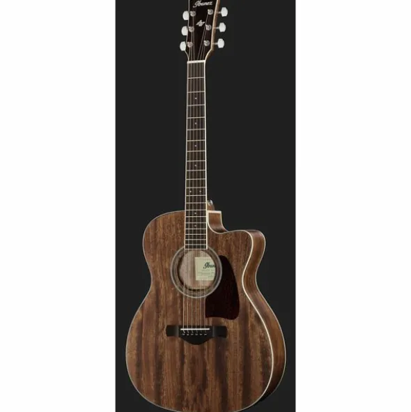 Ibanez AC340CE-OPN Artwood
