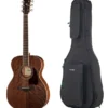Ibanez AC340-OPN Artwood w/Bag