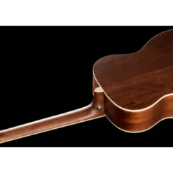 Ibanez AC340-OPN Artwood w/Bag