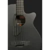 Ibanez AEGB420-BOT