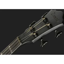 Ibanez AEGB420-BOT