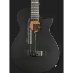 Ibanez AEGB420-BOT