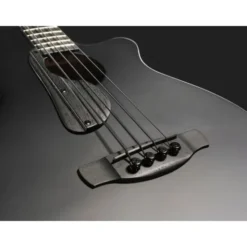Ibanez AEGB420-BOT