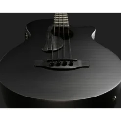 Ibanez AEGB420-BOT
