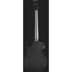 Ibanez AEGB420-BOT