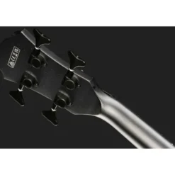 Ibanez AEGB420-BOT