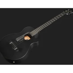 Ibanez AEGB420-BOT