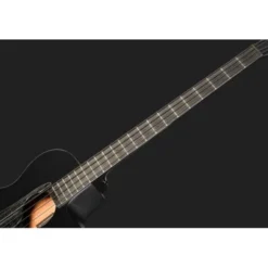 Ibanez AEGB420-BOT