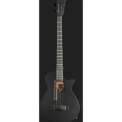 Ibanez AEGB420-BOT