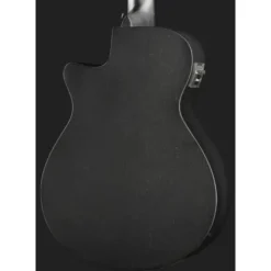 Ibanez AEGB420-BOT