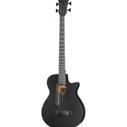 Ibanez AEGB420-BOT