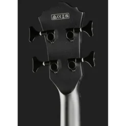 Ibanez AEGB420-BOT