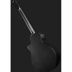 Ibanez AEGB420-BOT