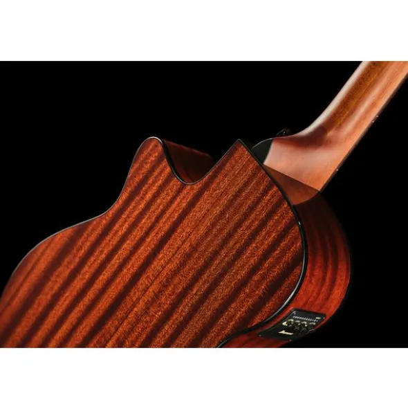 Ibanez AEGB24E-BKH
