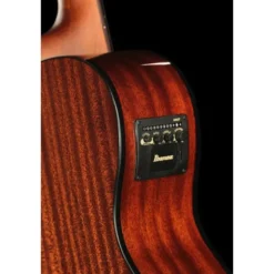 Ibanez AEGB24E-BKH