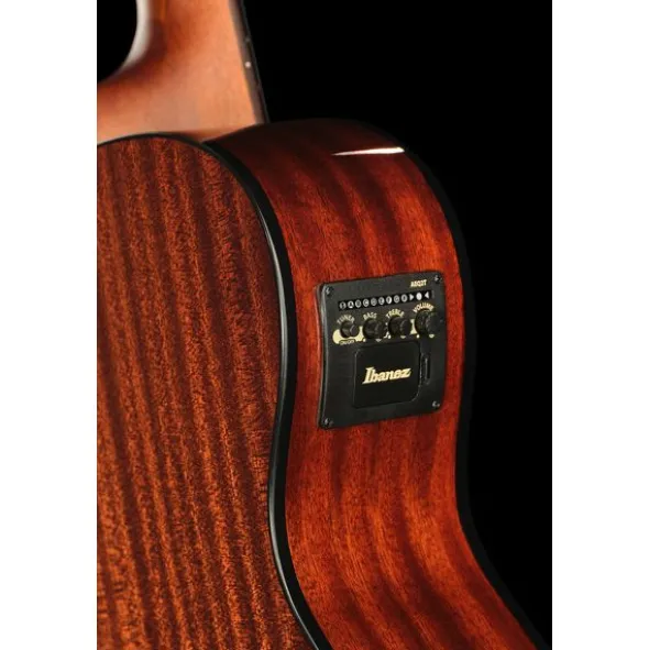 Ibanez AEGB24E-BKH