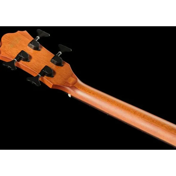 Ibanez AEGB24E-BKH