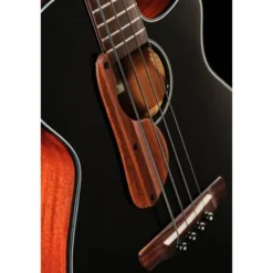 Ibanez AEGB24E-BKH
